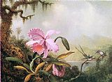 Orchids and Hummingbirds near a Mountain Lake by Martin Johnson Heade